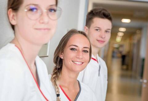 Ausbildung, Studium, FSJ, Praktikum